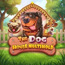 The Dog House Multihold game at Winward Casino for Australian players